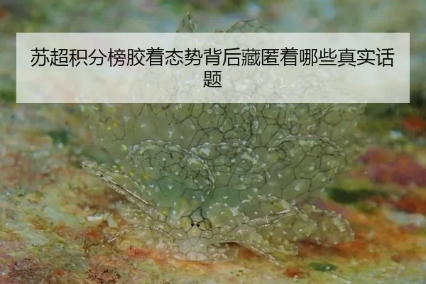 苏超积分榜胶着态势背后藏匿着哪些真实话题